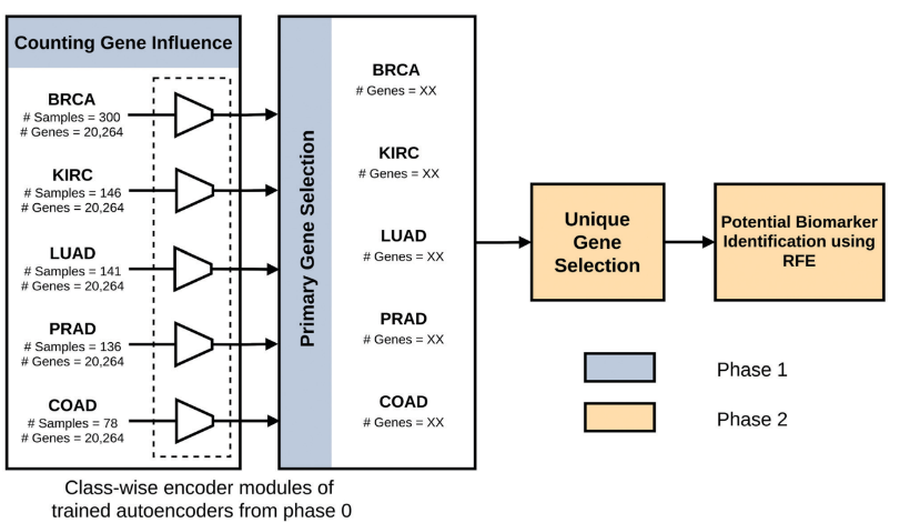 Pan Cancer Biomarker Identification Teaser
